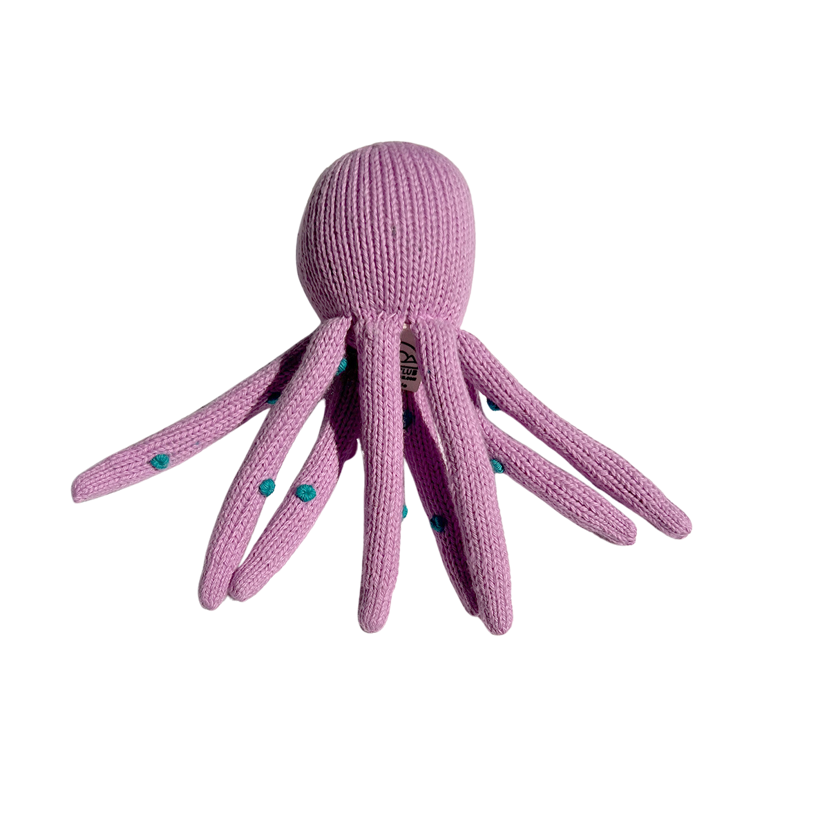 Ocho the Octopus