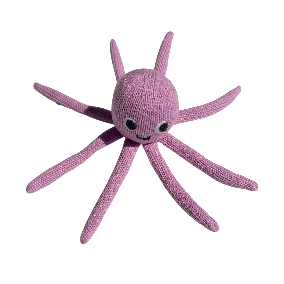 Ocho the Octopus
